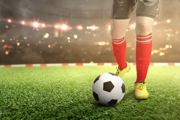 华体会体育App下载